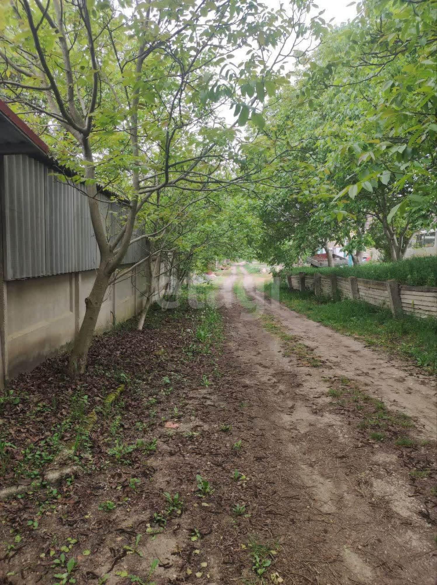 Купить дачу, дом, коттедж за 24 000 000 рублей на Полис (Трудовское )
