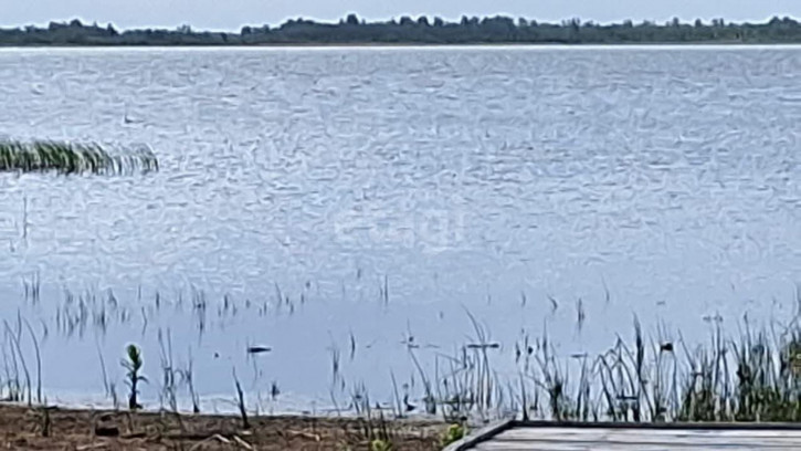 Земельный участок с.Клепалово, 116