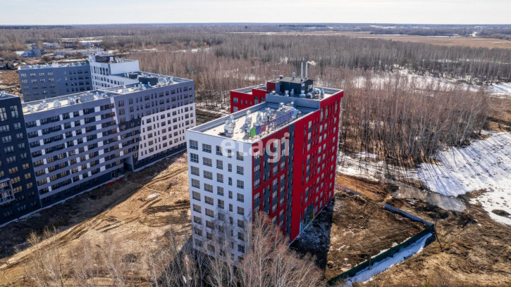 Студия Александра Федоровича, 12