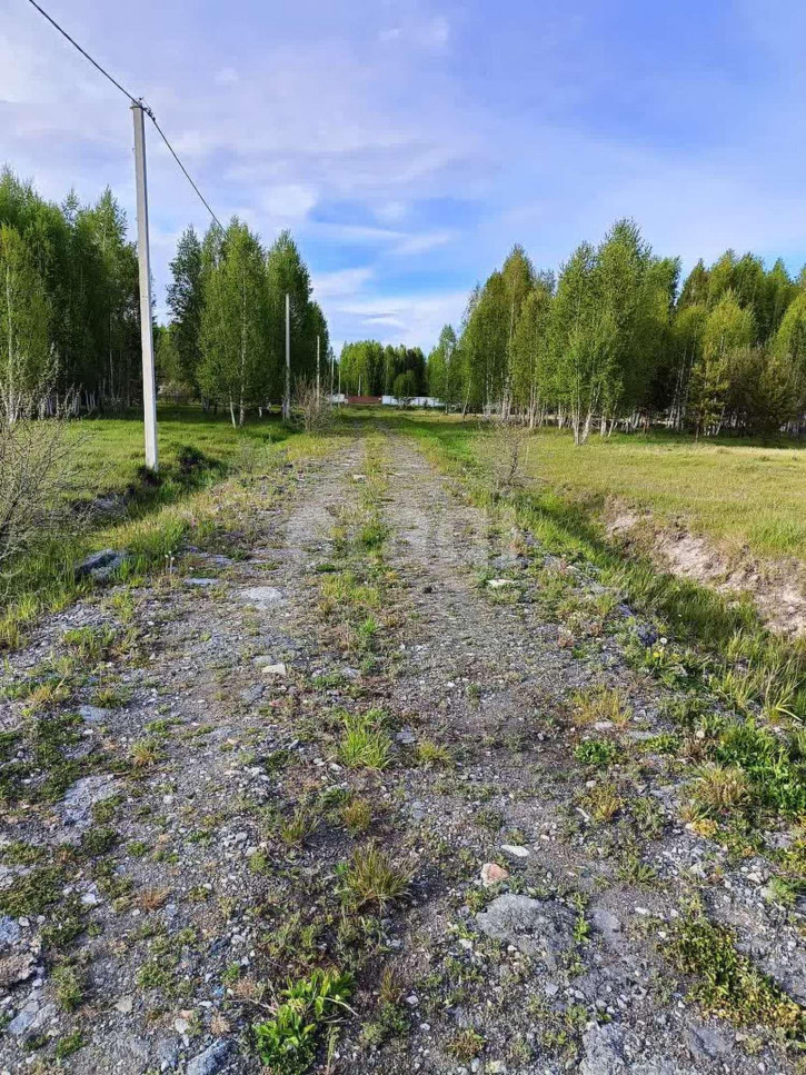 Земельный участок Царицыно СНТ