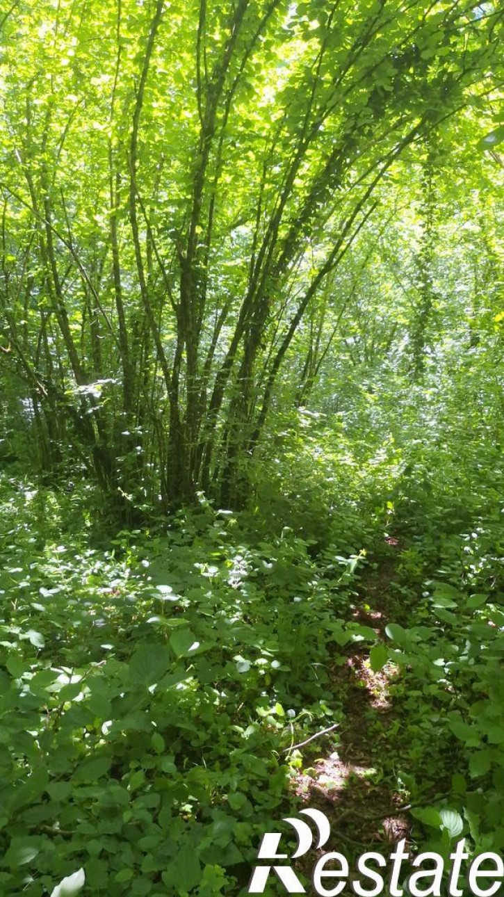 Земельный участок новосибирская улица, 21