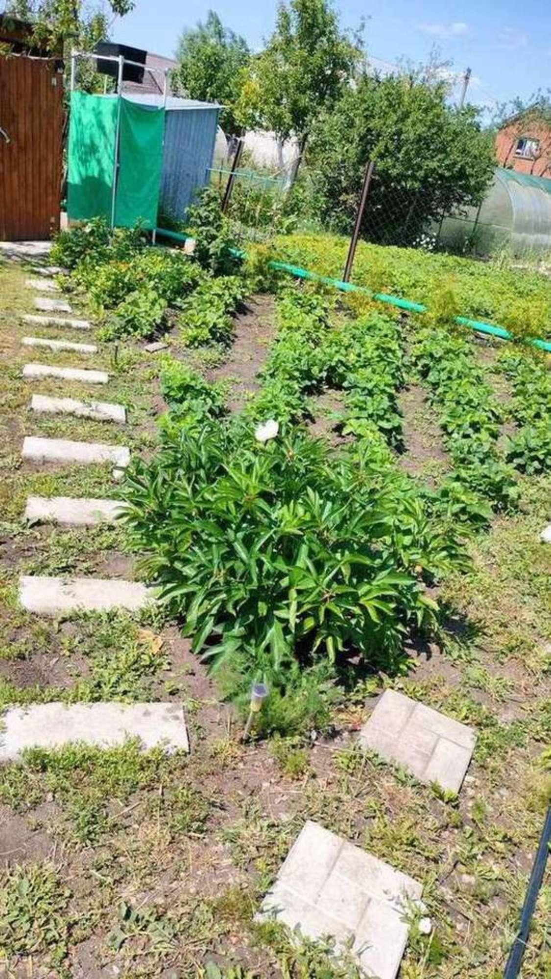 Купить землю, земельный участок за 410 000 рублей на Кирилловка село