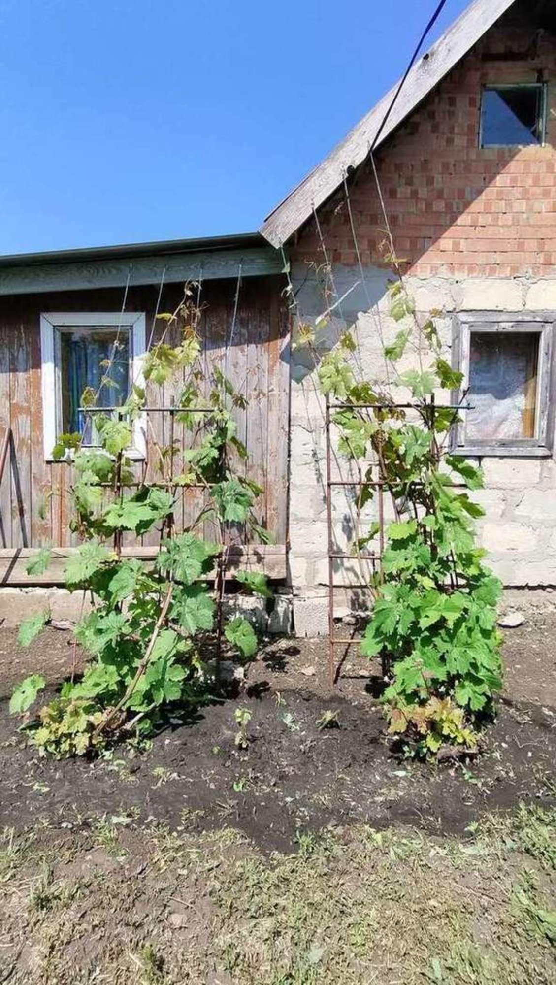 Купить землю, земельный участок за 410 000 рублей на Кирилловка село