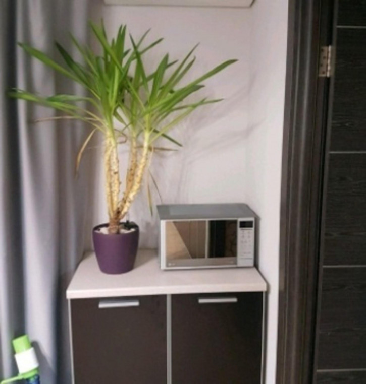 2-комн квартира Николая Панова улица, 50