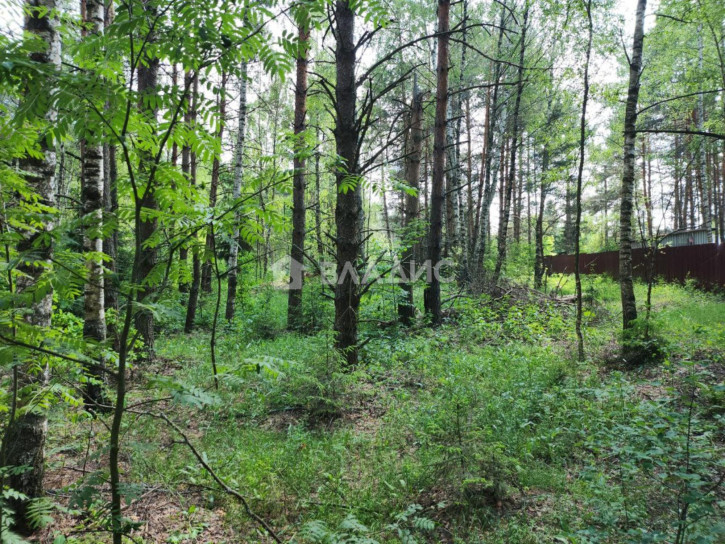 Земельный участок Центральная улица