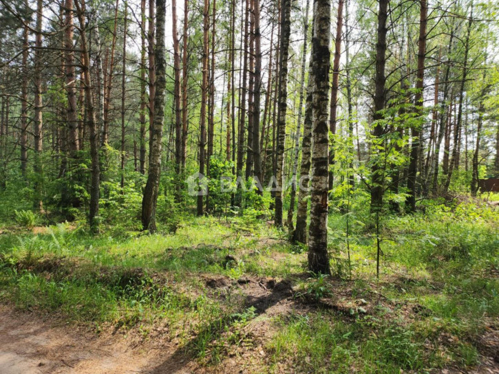 Земельный участок Центральная улица