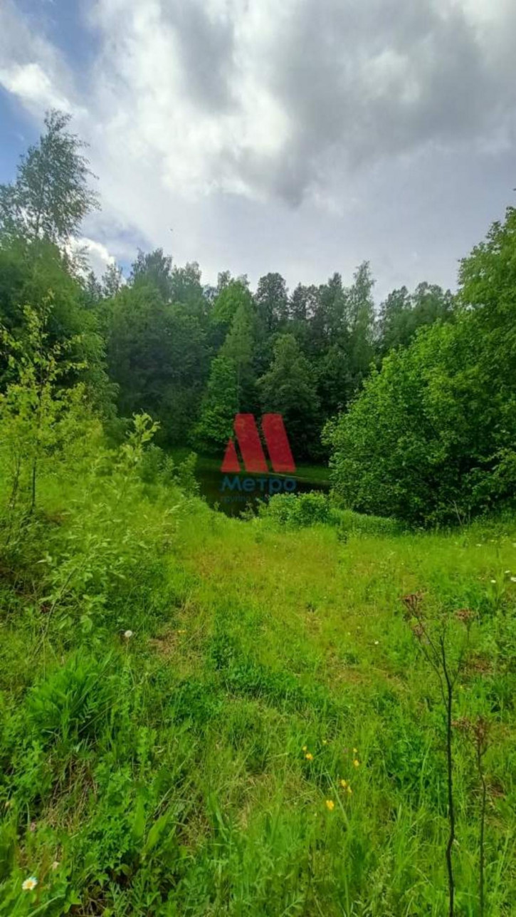 Земельный участок деревня Софино