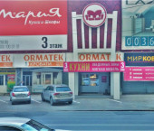 торговое помещение 319.6 кв м ул Революционная, 70