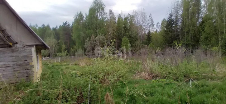 Коттедж/дом