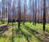 помещение 54000 кв м Кириллинский посёлок