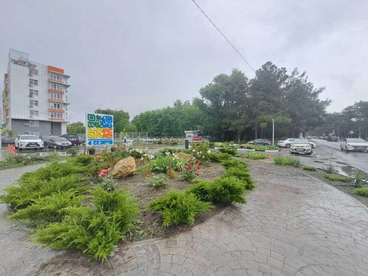 Студия Пионерский проспект, 100В