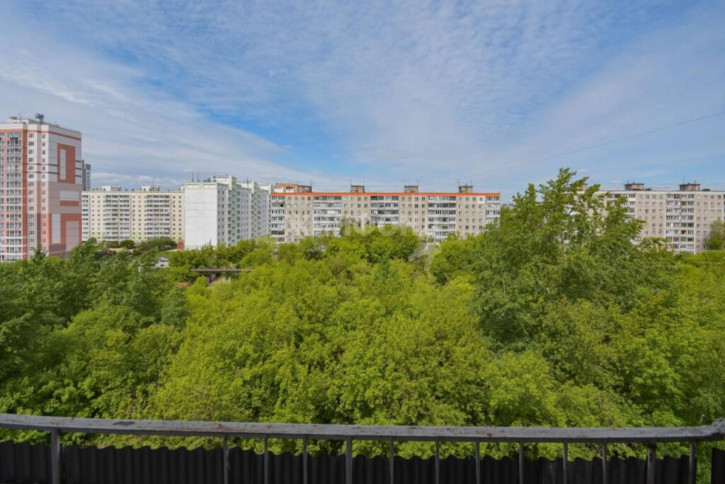 3-комн квартира Дениса Давыдова, 7/1