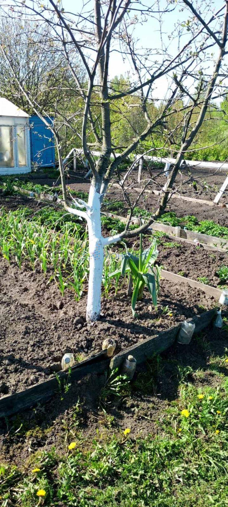 Купить дачу, дом, коттедж за 1 100 000 рублей на Центральная , 85