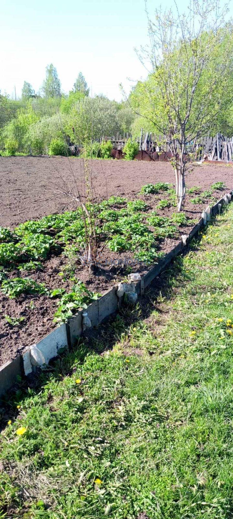 Купить дачу, дом, коттедж за 1 100 000 рублей на Центральная , 85