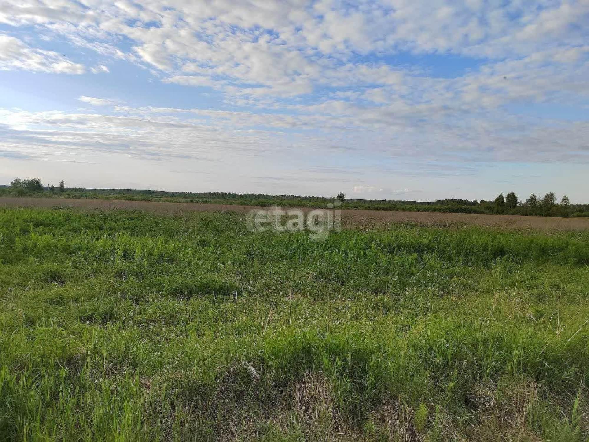 Купить землю, земельный участок за 500 000 рублей на село Салаирка