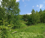 земля 40 сот -солнечная, 18б