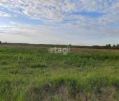 земля 600 сот село Салаирка