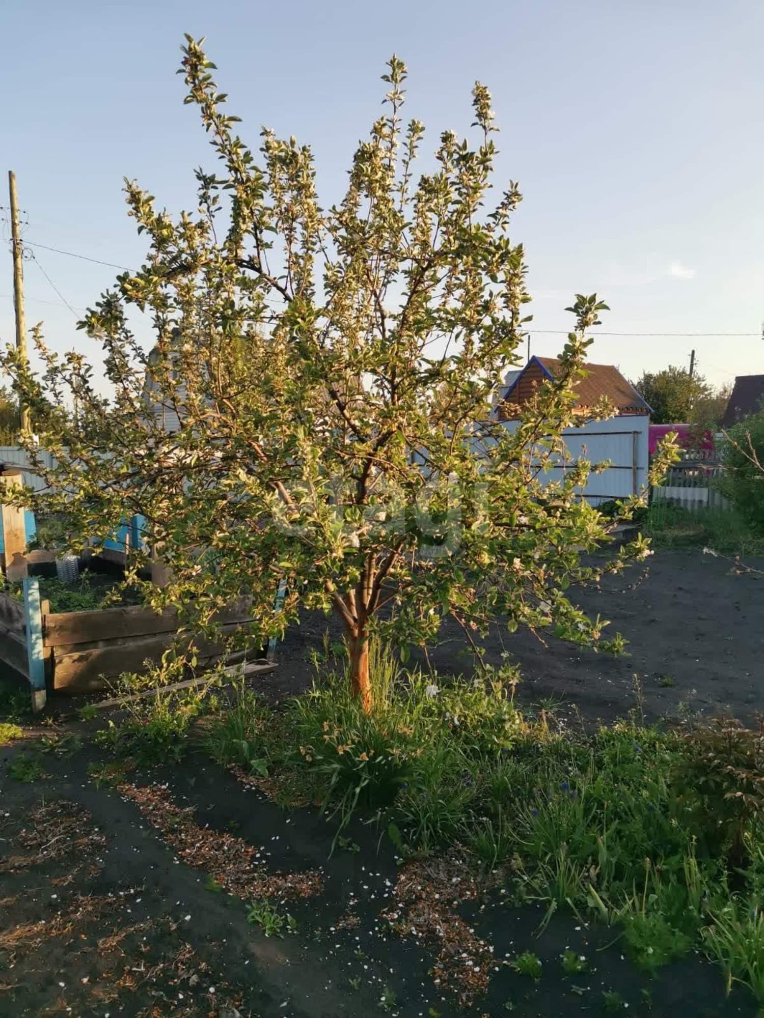 Купить дачу, дом, коттедж за 1 500 000 рублей на Ягодная,