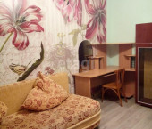 комната 14 кв м Николая Зелинского, 17