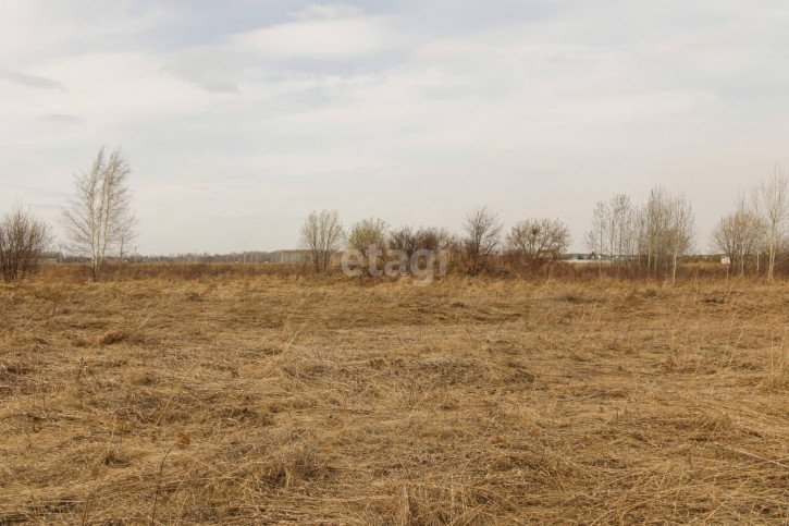 Земельный участок Плодовое