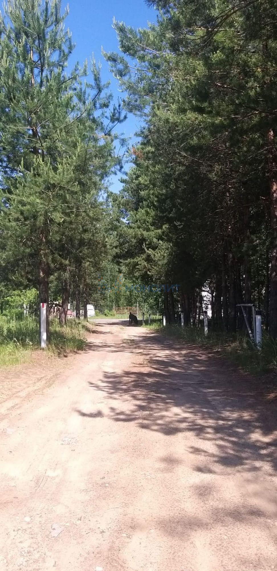 Купить дачу, дом, коттедж за 6 900 000 рублей на Автомобилист тер. СНТ, 96
