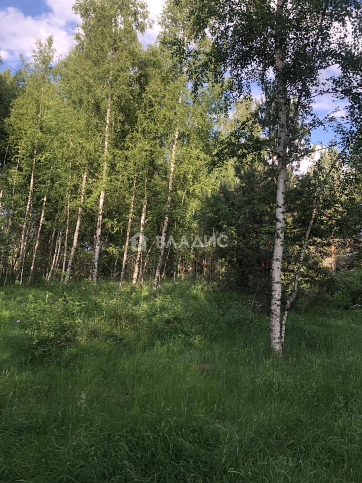Земельный участок
