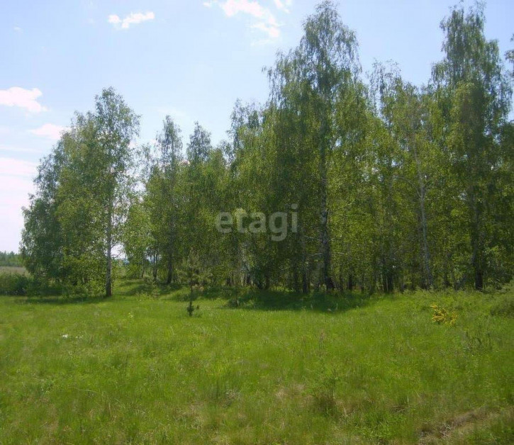 Земельный участок Красноуральск,Лермонтова 244