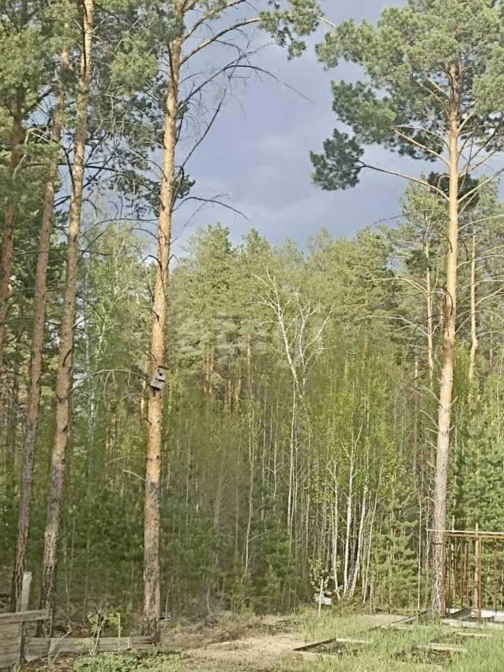 Коттедж/дом Андреевский