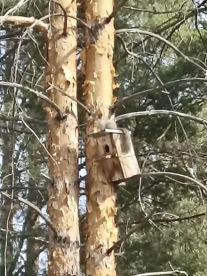 Коттедж/дом Андреевский