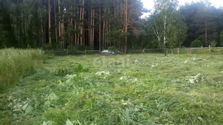 Земельный участок Лесная,