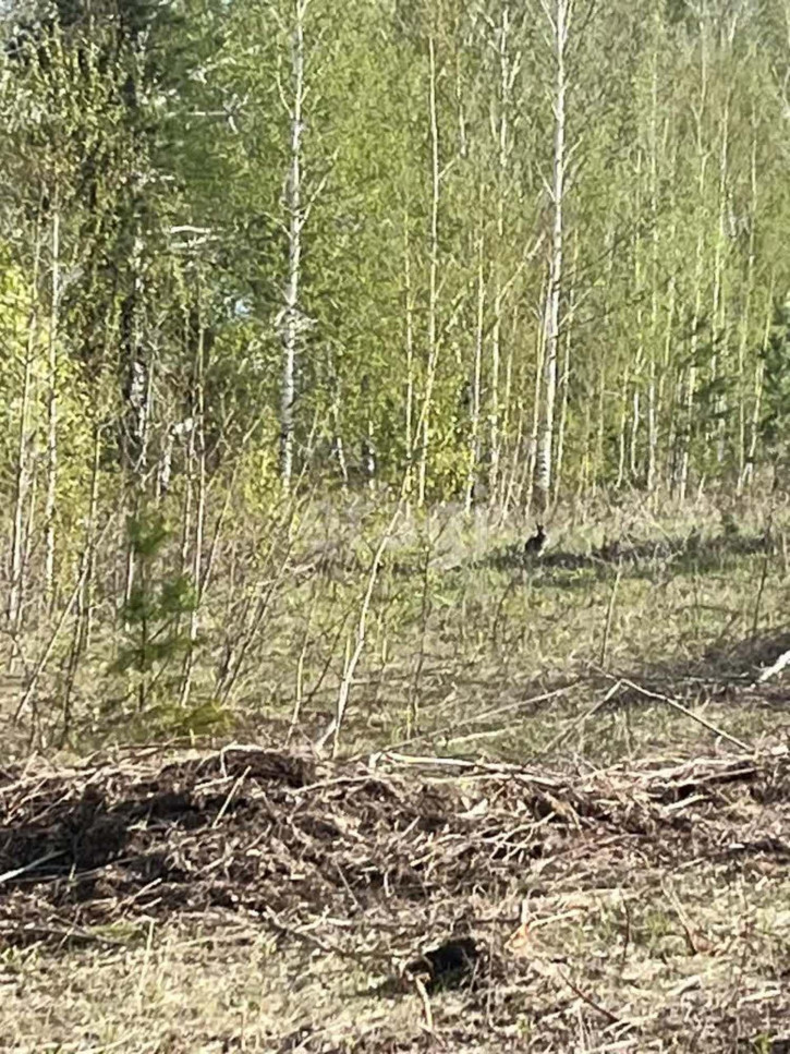 Земельный участок Нобелевская,
