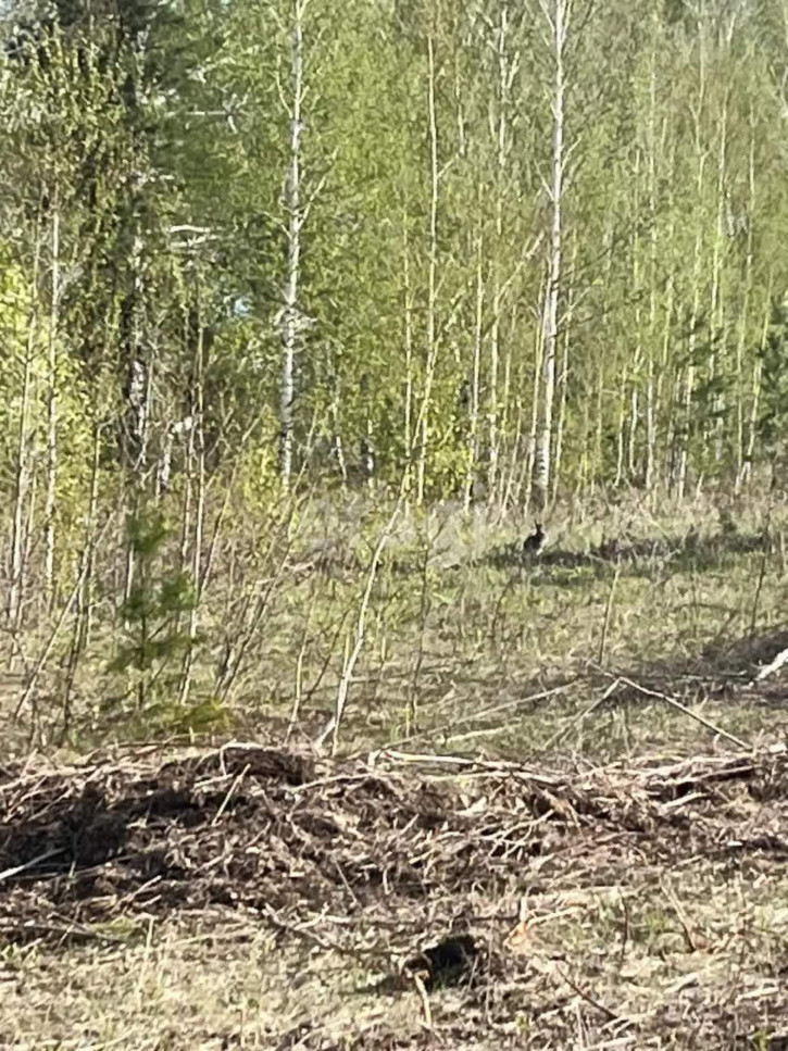 Земельный участок Нобелевская,