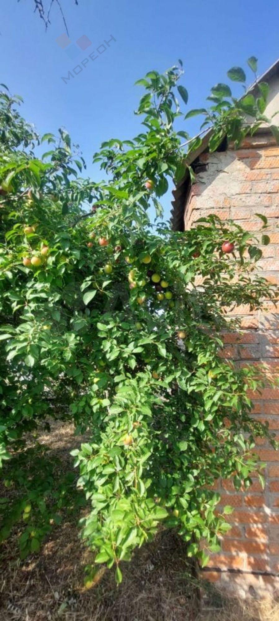 Купить дачу, дом, коттедж за 3 100 000 рублей на Абрикосовая ул, 50