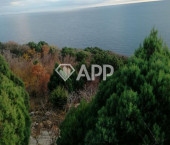земля 9950 сот село Широкая Балка, ул Широкая Балка
