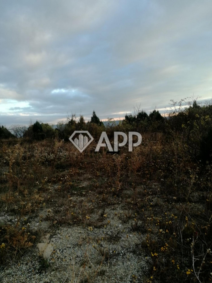Земельный участок село Широкая Балка, ул Широкая Балка