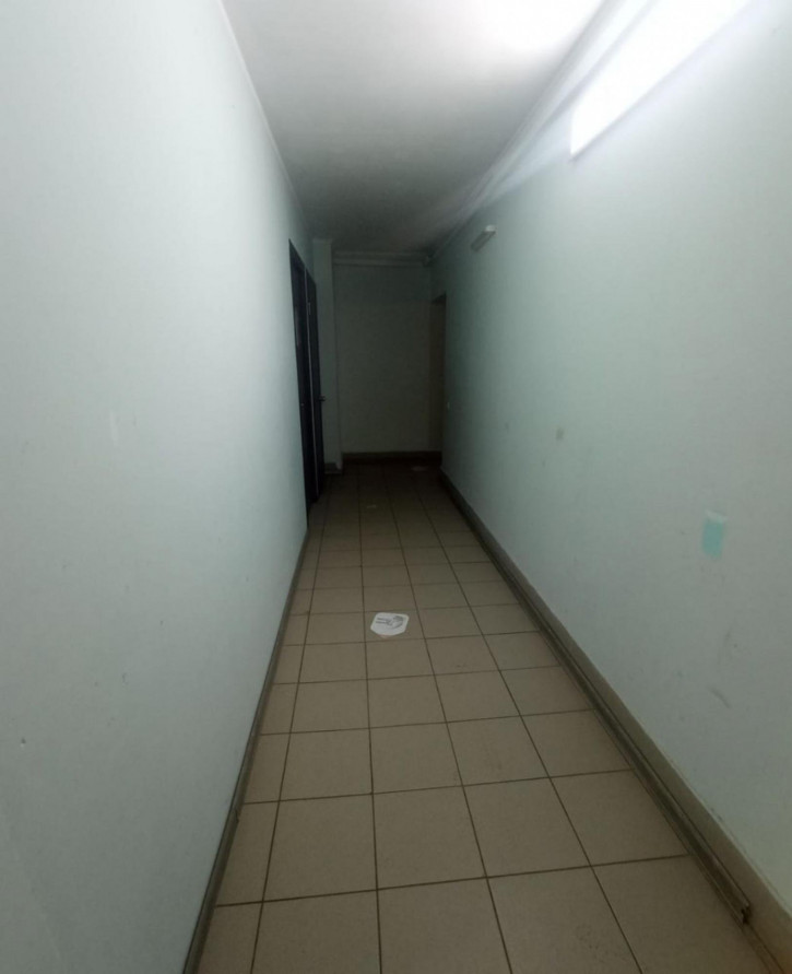 Торговое помещение ул Раскольникова, 29