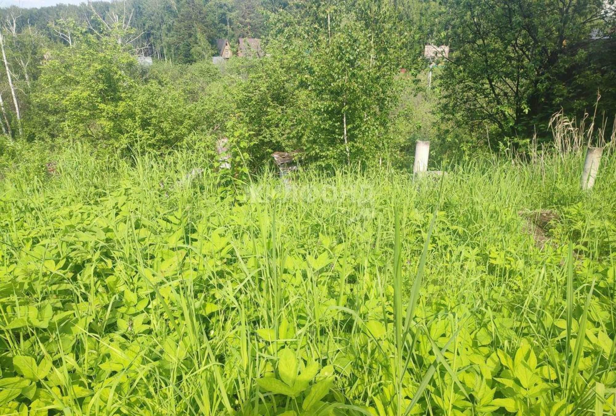 Купить землю, земельный участок за 300 000 рублей на Новосибирск