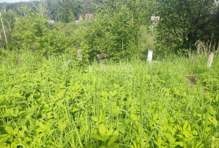Земельный участок Новосибирск