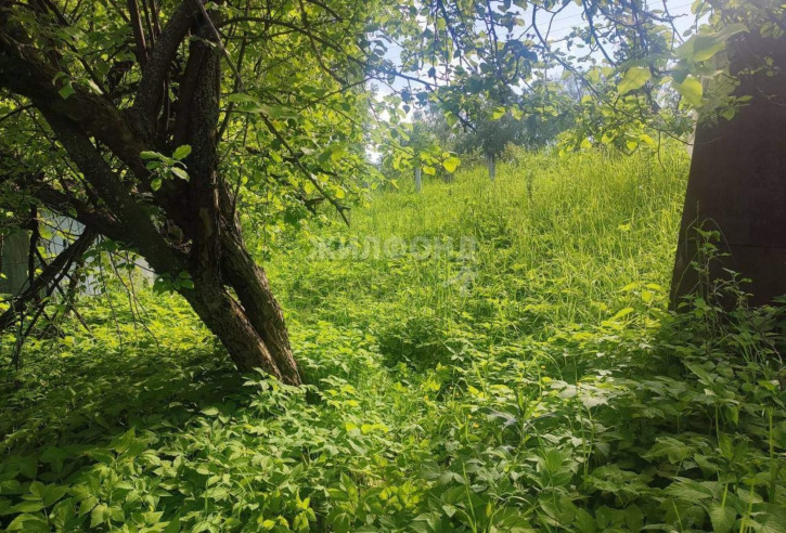 Земельный участок Новосибирск