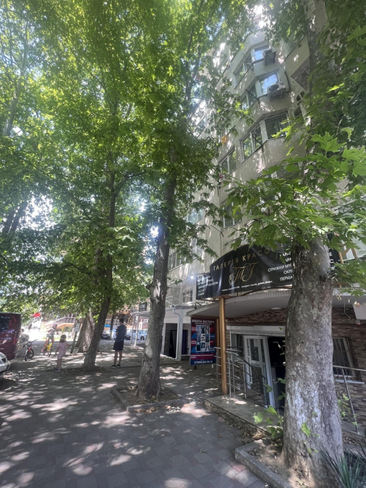 3-комн квартира улица Самбурова, 258