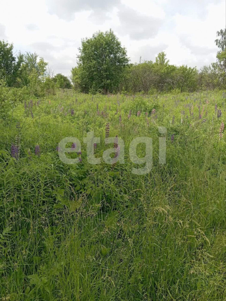 Земельный участок Счастливая улица