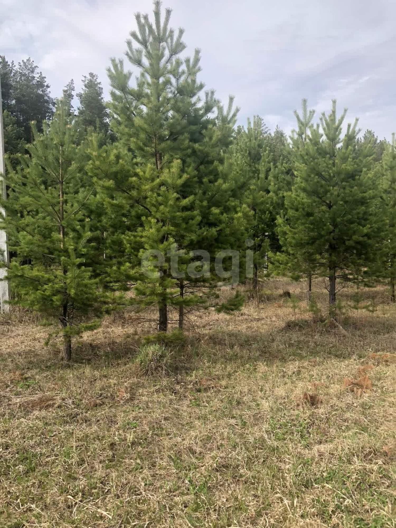 Купить дачу, дом, коттедж за 2 450 000 рублей на КП Лесные тропы, 114