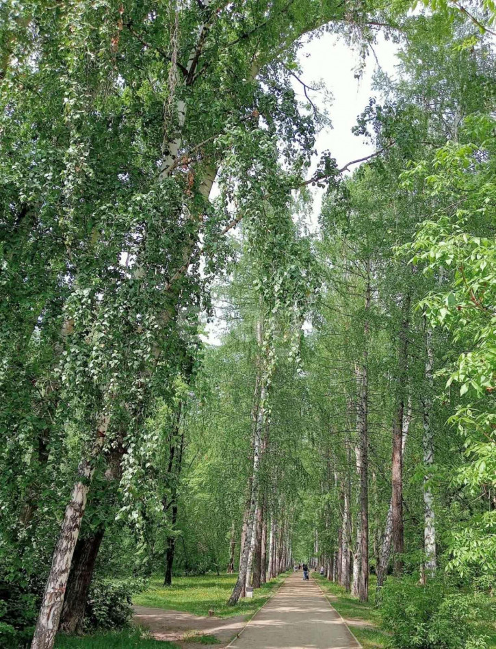 Земельный участок ПОС Вагонник-2, 134