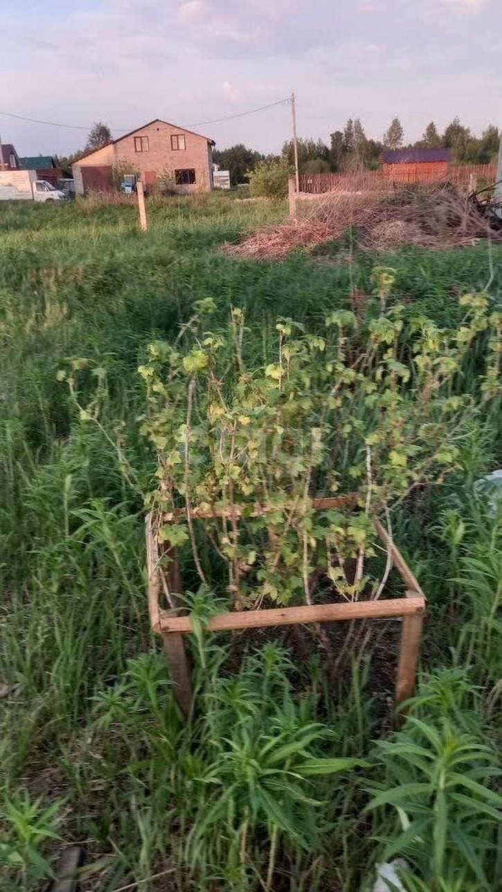 Коттедж/дом Душевное с/о