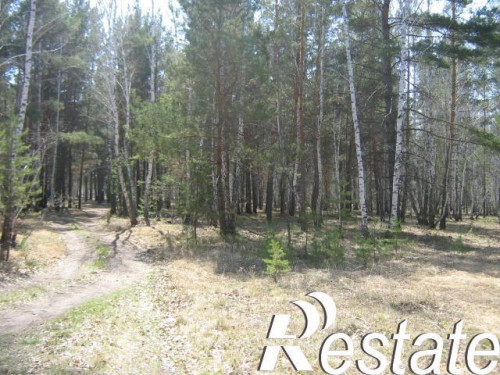 Продажа участка Чернолученский, 2