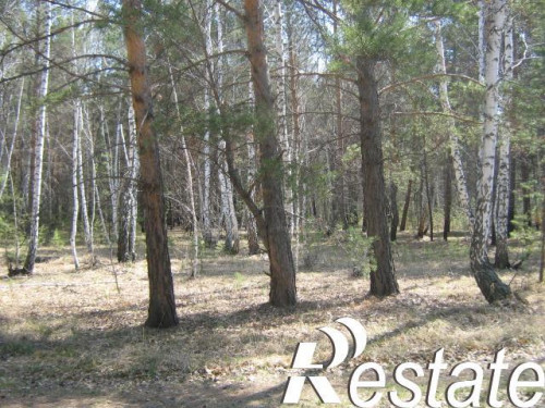 Продажа участка село Чернолучье Омский район