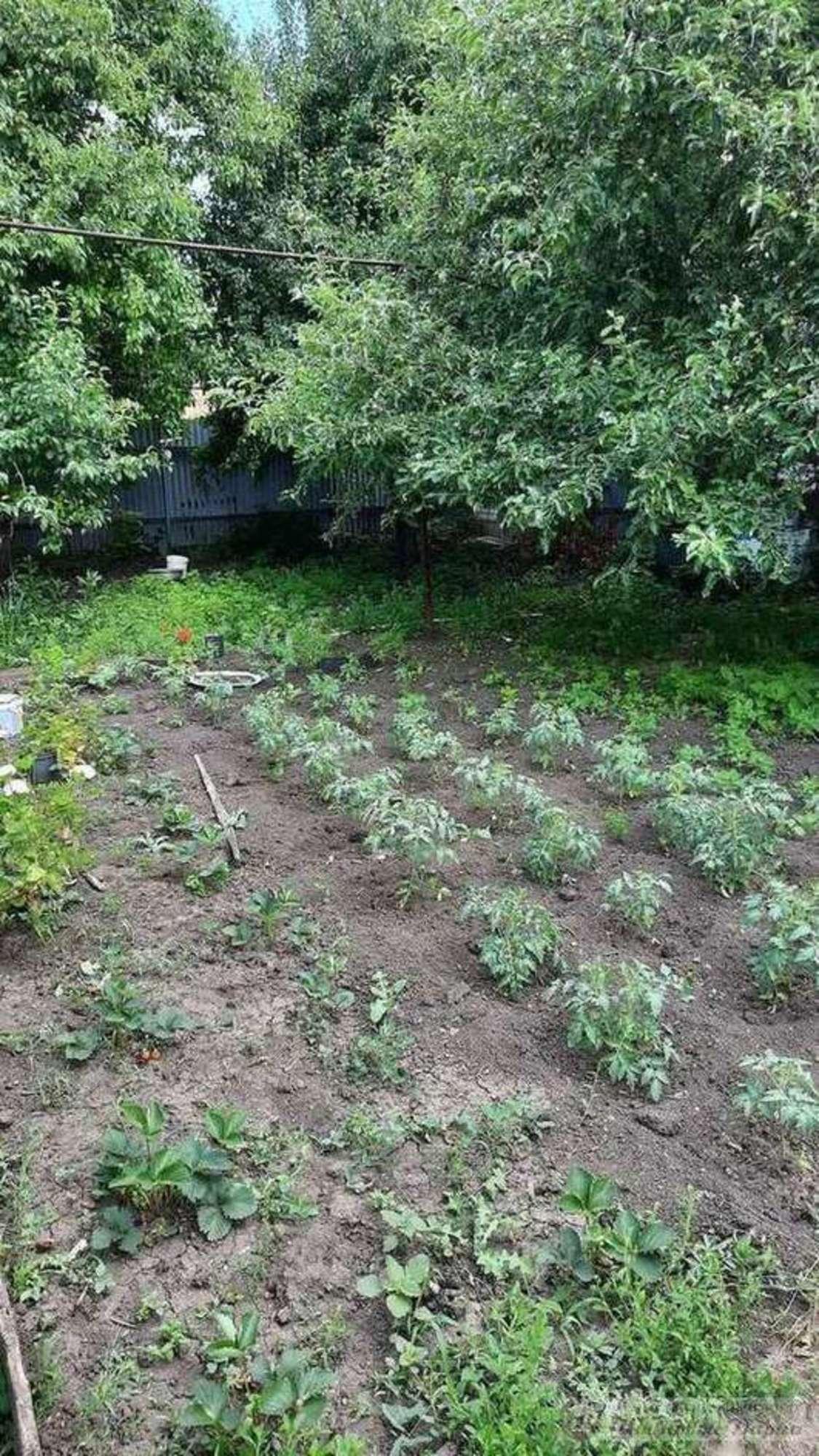 Купить дачу, дом, коттедж за 4 200 000 рублей на Оршанский переулок