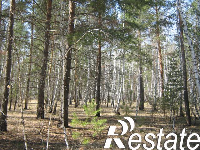 Купить землю, земельный участок за 230 000 рублей на Чернолученский, 2