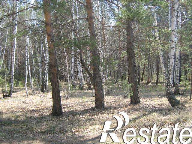Купить землю, земельный участок за 215 000 рублей на село Чернолучье Омский район