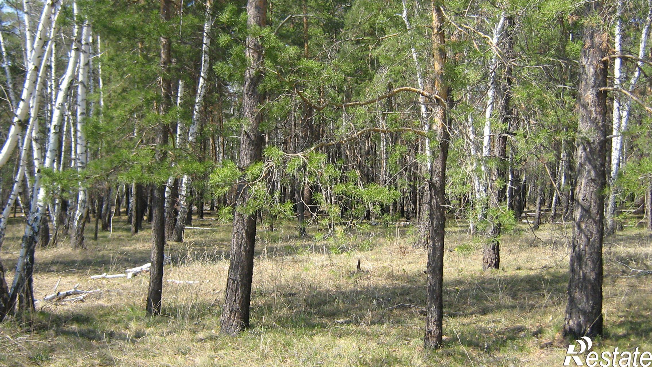 Купить землю, земельный участок за 215 000 рублей на село Чернолучье Омский район